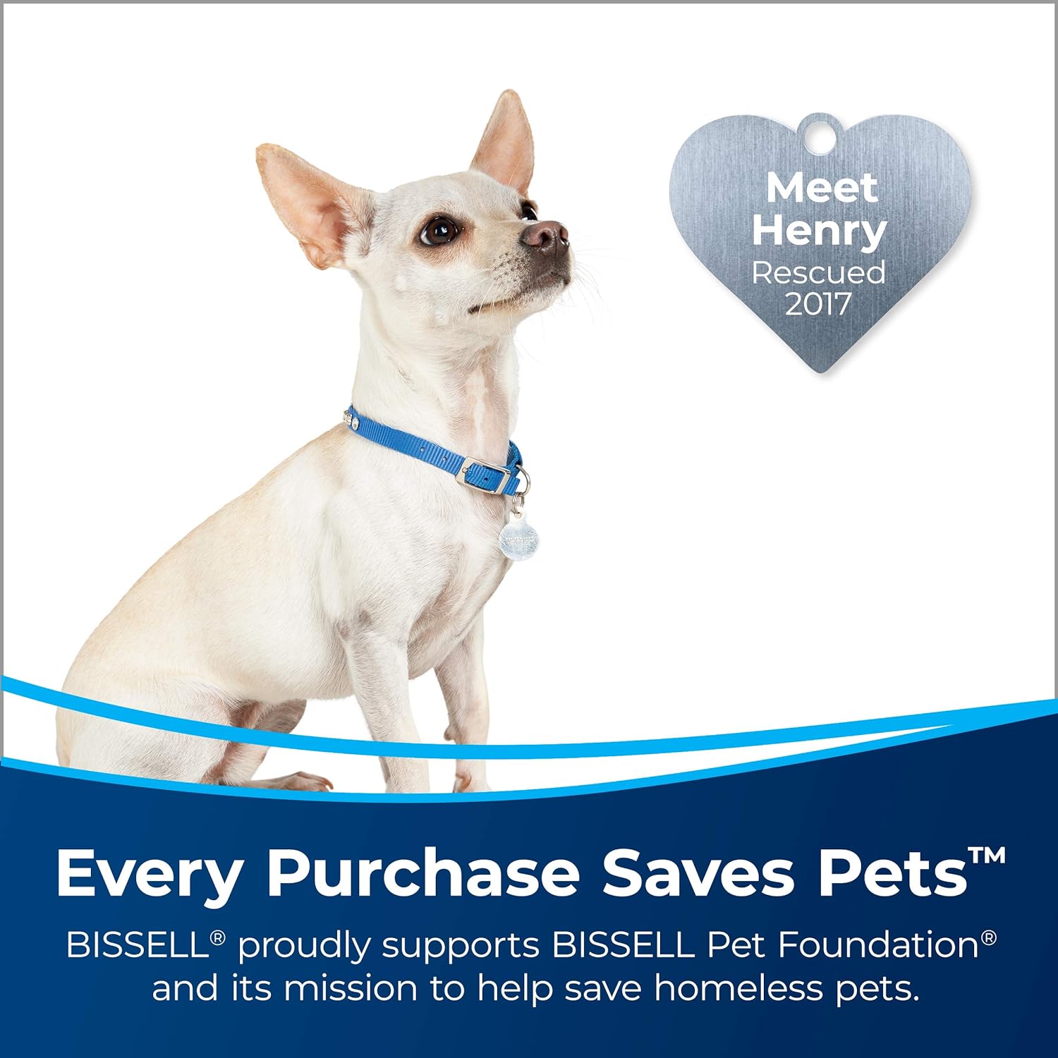 BISSELL Pet Stain Eraser Plus 3181 Review