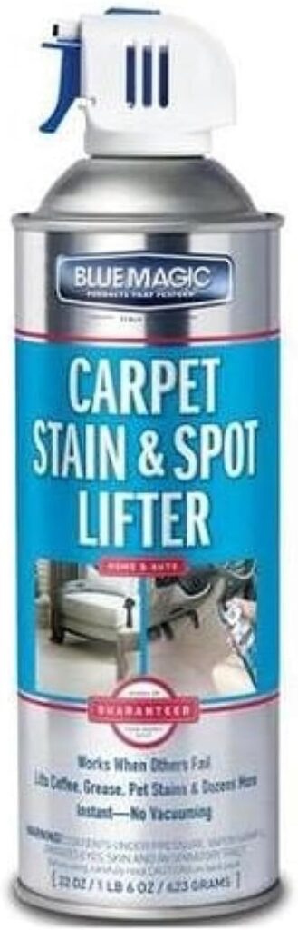 Blue Magic 900 Carpet Stain  Spot Lifter - 22 oz. Aerosol Can